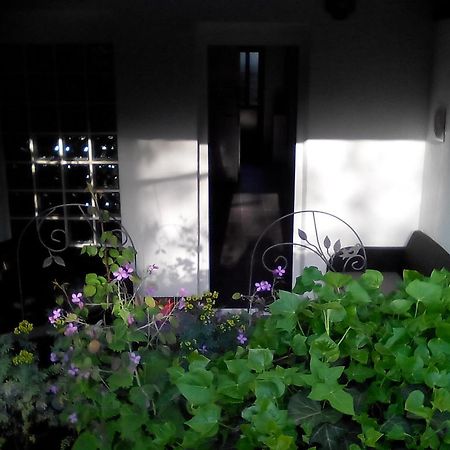 Apartment Poropat Poreč Værelse billede