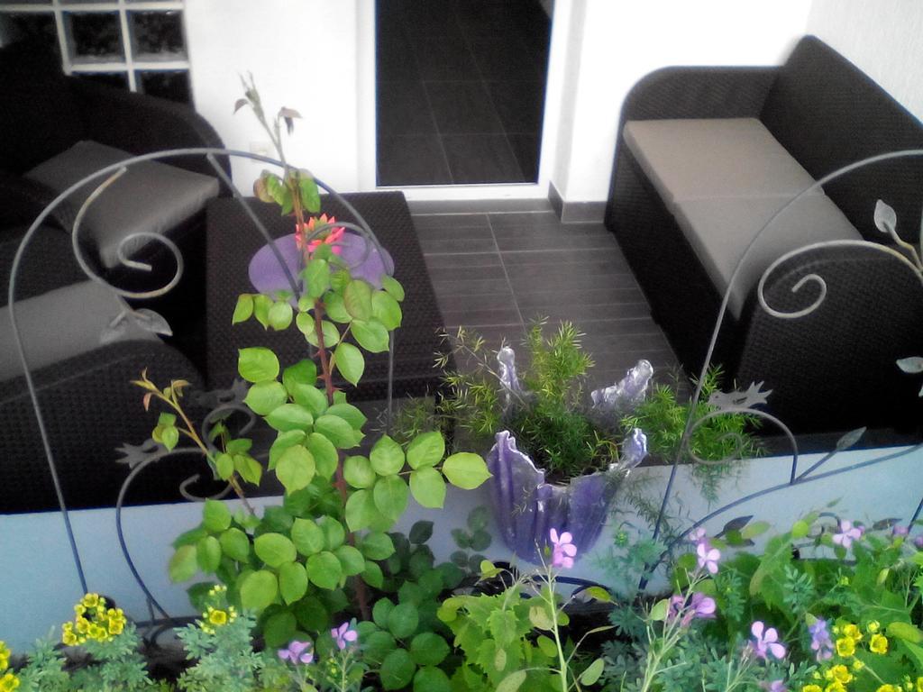 Apartment Poropat Poreč Værelse billede